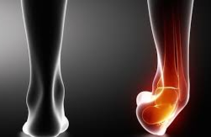 Extensão em Técnicas Manuais